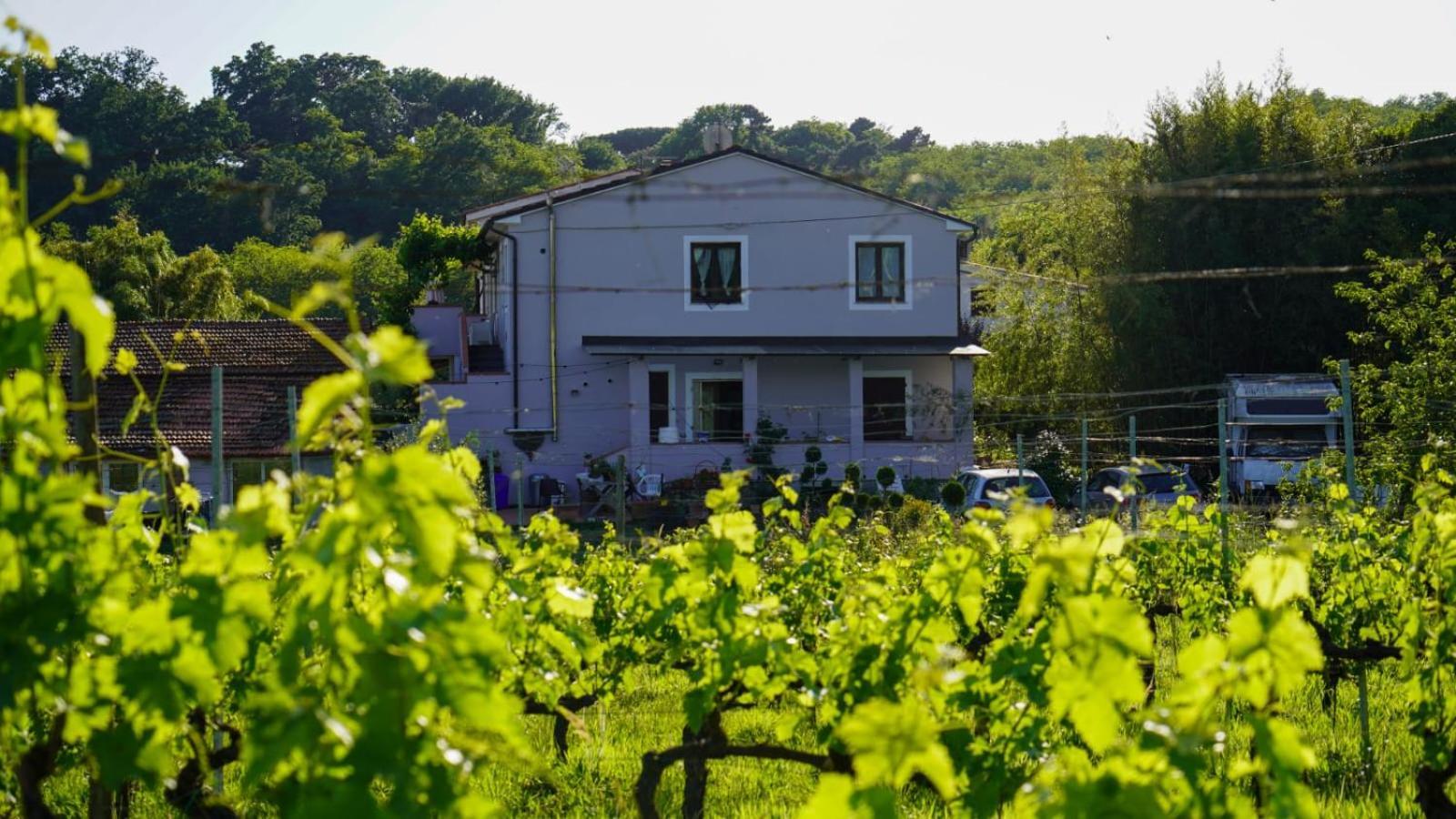 カパンノリ Wine House Bed & Breakfast エクステリア 写真