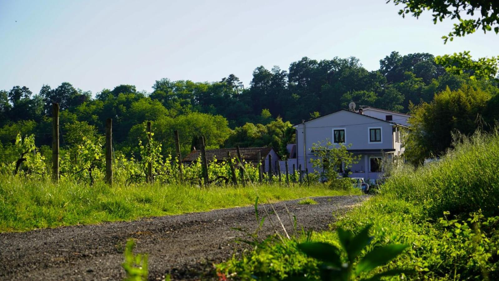 カパンノリ Wine House Bed & Breakfast エクステリア 写真