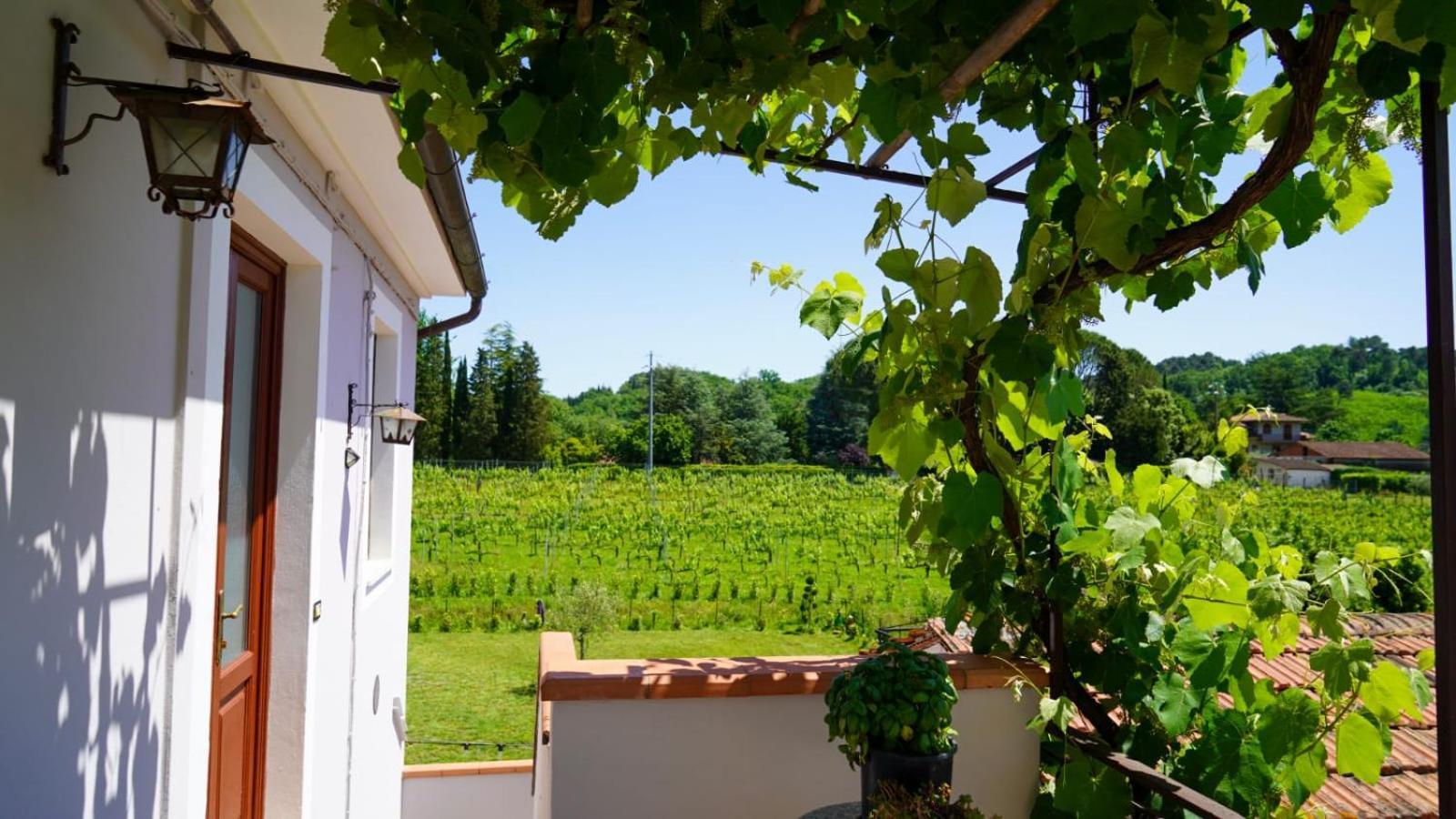 カパンノリ Wine House Bed & Breakfast エクステリア 写真