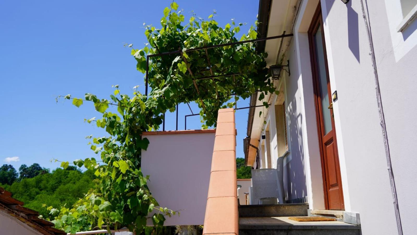 カパンノリ Wine House Bed & Breakfast エクステリア 写真