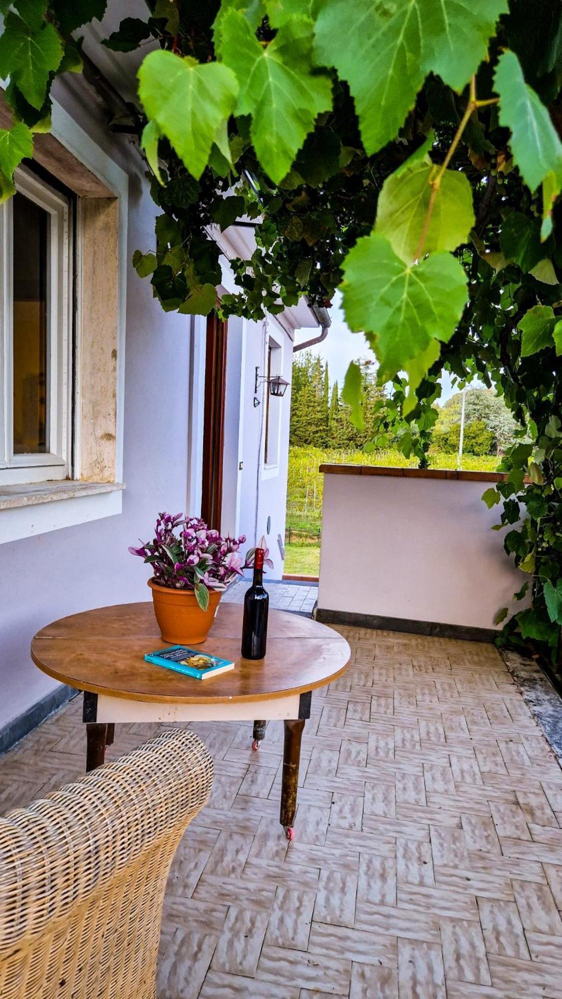 カパンノリ Wine House Bed & Breakfast エクステリア 写真