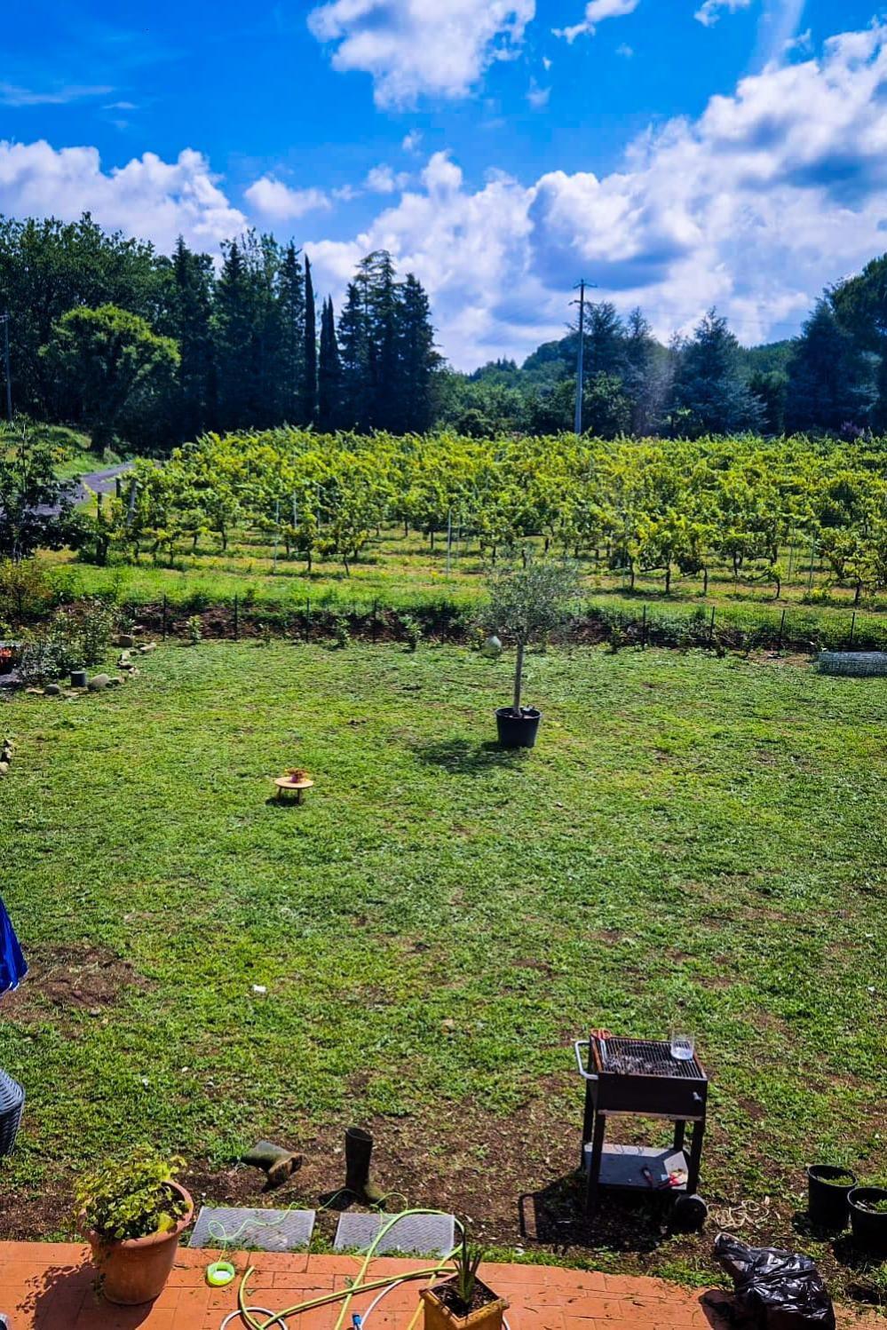 カパンノリ Wine House Bed & Breakfast エクステリア 写真
